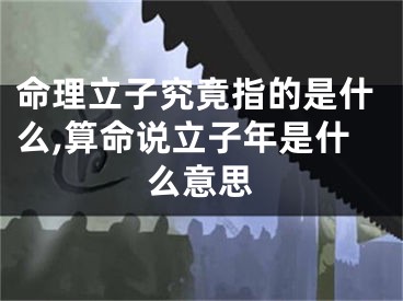 命理立子究竟指的是什么,算命说立子年是什么意思