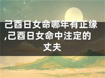 己酉日女命哪年有正缘,己酉日女命中注定的丈夫