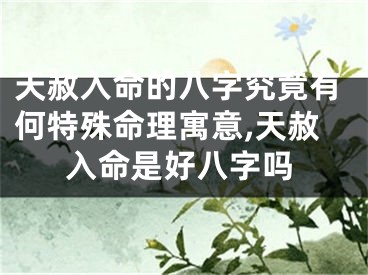 天赦入命的八字究竟有何特殊命理寓意,天赦入命是好八字吗