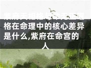 紫府天相格与命无正曜格在命理中的核心差异是什么,紫府在命宫的人