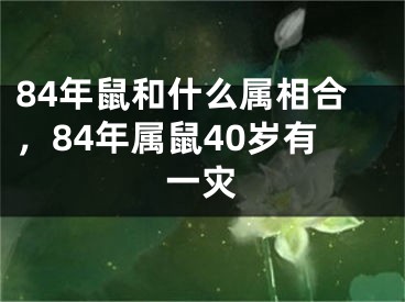 84年鼠和什么属相合，84年属鼠40岁有一灾