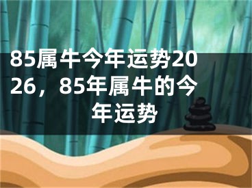 85属牛今年运势2026，85年属牛的今年运势