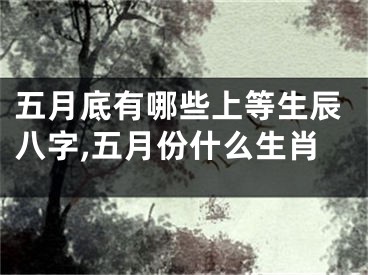 五月底有哪些上等生辰八字,五月份什么生肖