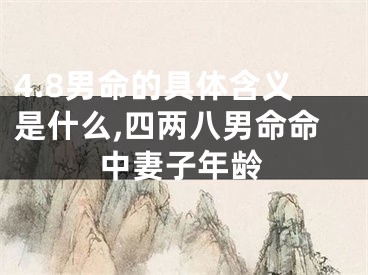 4.8男命的具体含义是什么,四两八男命命中妻子年龄