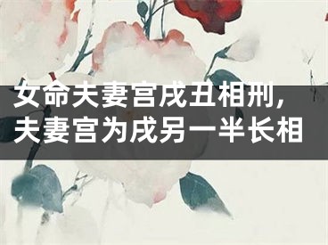 女命夫妻宫戌丑相刑,夫妻宫为戌另一半长相