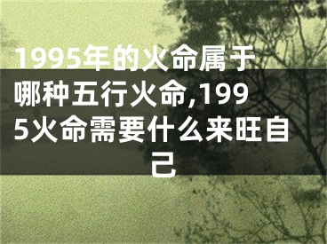 1995年的火命属于哪种五行火命,1995火命需要什么来旺自己