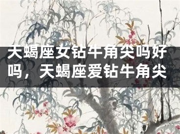 天蝎座女钻牛角尖吗好吗，天蝎座爱钻牛角尖