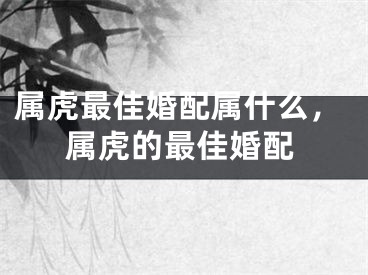 属虎最佳婚配属什么，属虎的最佳婚配