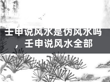 壬申说风水是伪风水吗，壬申说风水全部
