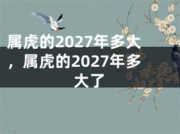 属虎的2027年多大,属虎的2027年多大了