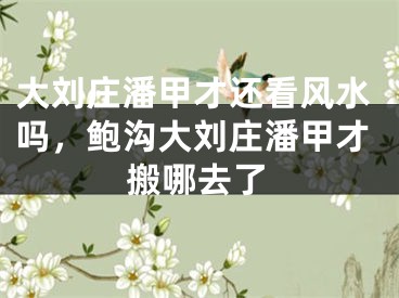 大刘庄潘甲才还看风水吗，鲍沟大刘庄潘甲才搬哪去了