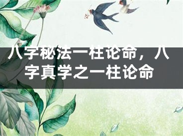 八字秘法一柱论命，八字真学之一柱论命