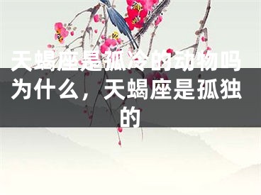 天蝎座是孤冷的动物吗为什么，天蝎座是孤独的