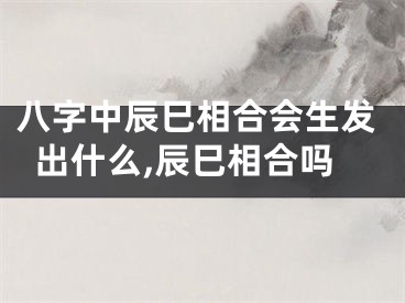 八字中辰巳相合会生发出什么,辰巳相合吗