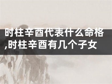 时柱辛酉代表什么命格,时柱辛酉有几个子女