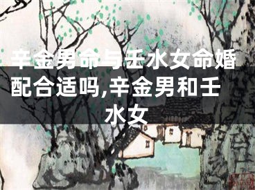 辛金男命与壬水女命婚配合适吗,辛金男和壬水女