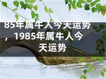 85年属牛人今天运势，1985年属牛人今天运势