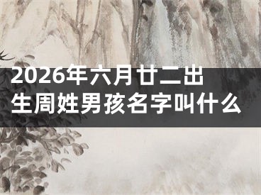 2026年六月廿二出生周姓男孩名字叫什么