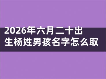 2026年六月二十出生杨姓男孩名字怎么取