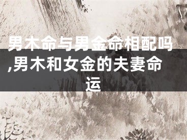 男木命与男金命相配吗,男木和女金的夫妻命运
