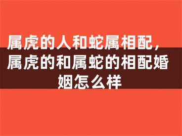 属虎的人和蛇属相配，属虎的和属蛇的相配婚姻怎么样