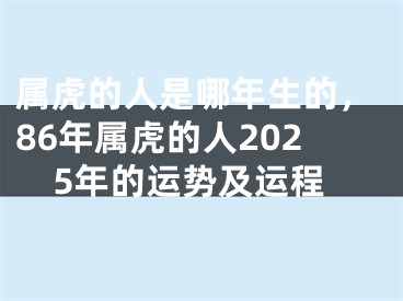 属虎的人是哪年生的，86年属虎的人2025年的运势及运程