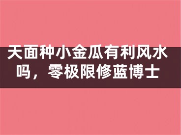 天面种小金瓜有利风水吗，零极限修蓝博士