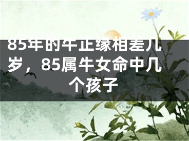 85年的牛正缘相差几岁，85属牛女命中几个孩子