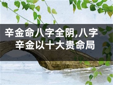 辛金命八字全阴,八字辛金以十大贵命局