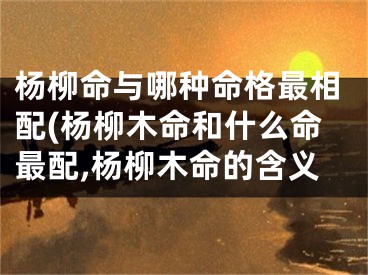 杨柳命与哪种命格最相配(杨柳木命和什么命最配,杨柳木命的含义