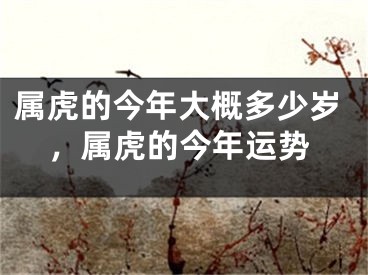 属虎的今年大概多少岁，属虎的今年运势