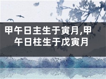 甲午日主生于寅月,甲午日柱生于戊寅月