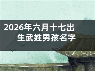 2026年六月十七出生武姓男孩名字
