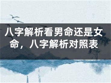 八字解析看男命还是女命，八字解析对照表