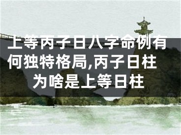 上等丙子日八字命例有何独特格局,丙子日柱为啥是上等日柱