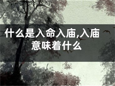 什么是入命入庙,入庙意味着什么