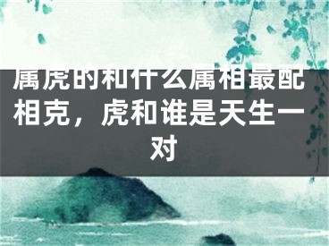 属虎的和什么属相最配相克，虎和谁是天生一对