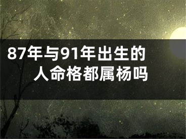 87年与91年出生的人命格都属杨吗