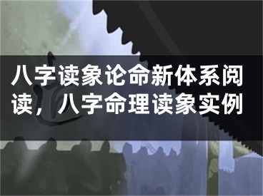 八字读象论命新体系阅读，八字命理读象实例