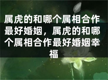 属虎的和哪个属相合作最好婚姻，属虎的和哪个属相合作最好婚姻幸福