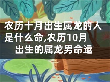 农历十月出生属龙的人是什么命,农历10月出生的属龙男命运