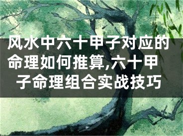 风水中六十甲子对应的命理如何推算,六十甲子命理组合实战技巧