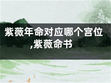 紫薇年命对应哪个宫位,紫薇命书