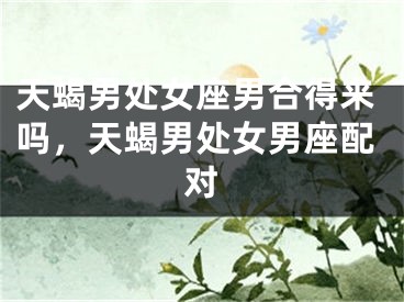 天蝎男处女座男合得来吗，天蝎男处女男座配对