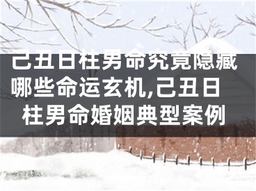 己丑日柱男命究竟隐藏哪些命运玄机,己丑日柱男命婚姻典型案例