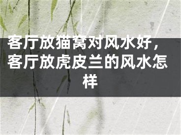 客厅放猫窝对风水好，客厅放虎皮兰的风水怎样