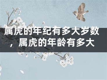 属虎的年纪有多大岁数，属虎的年龄有多大