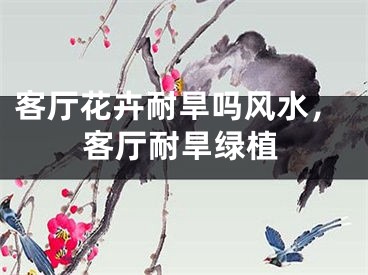 客厅花卉耐旱吗风水，客厅耐旱绿植