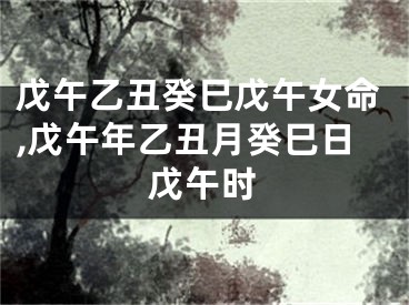戊午乙丑癸巳戊午女命,戊午年乙丑月癸巳日戊午时