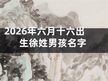 2026年六月十六出生徐姓男孩名字